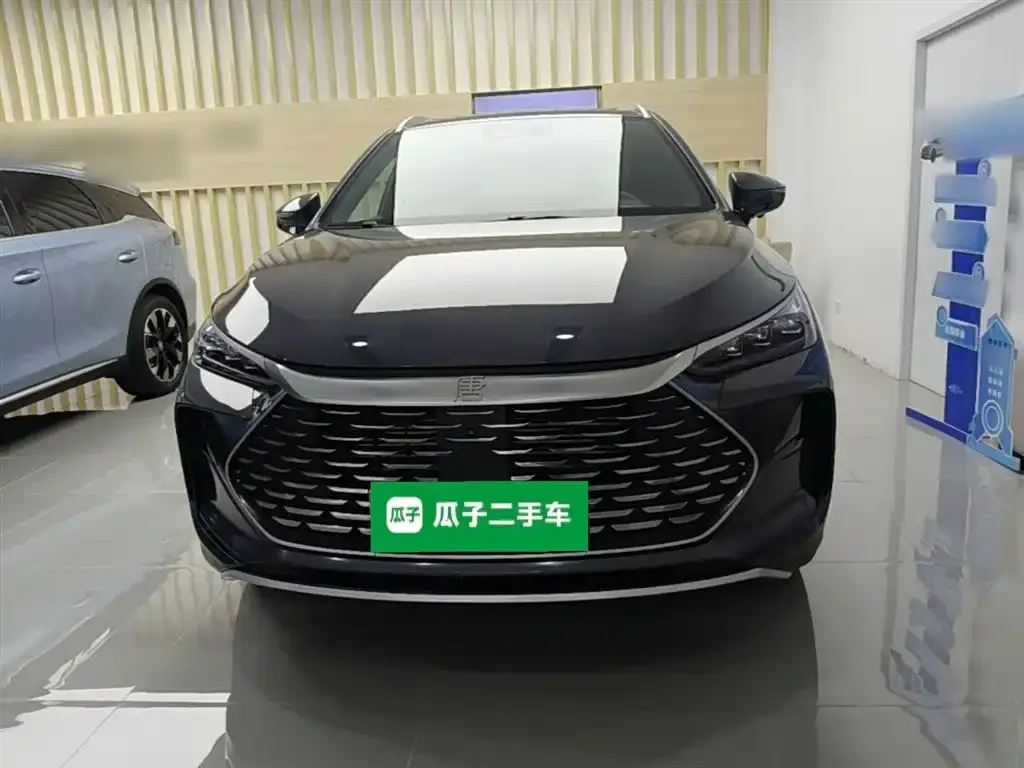 BYD Tang New Energy — фото 2