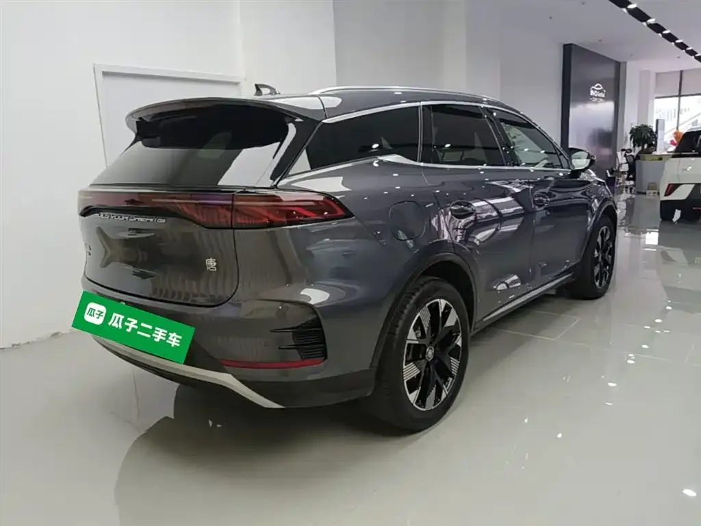 BYD Tang New Energy — фото 6