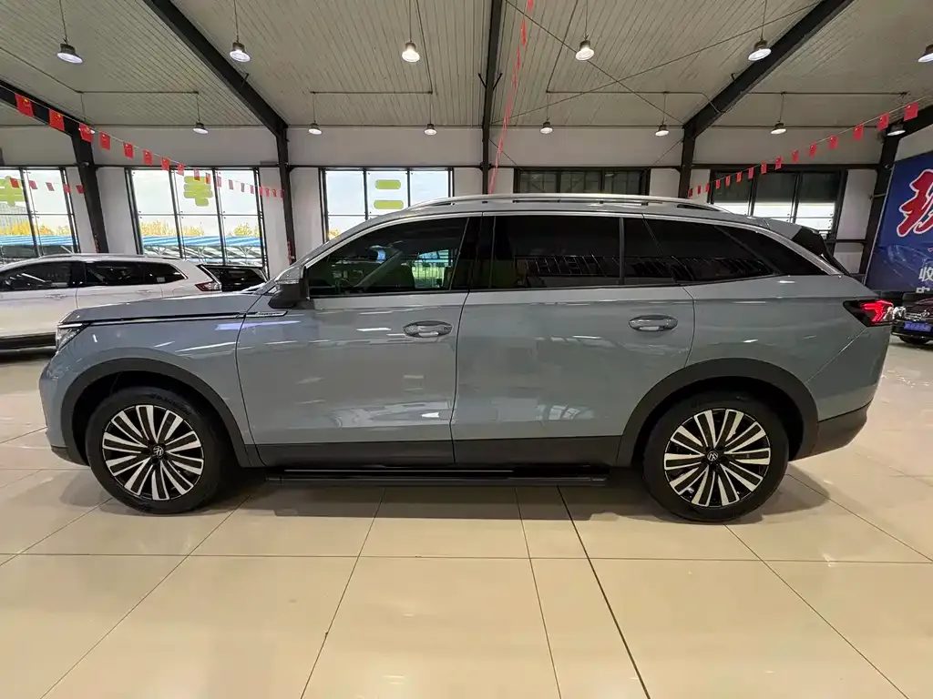 Volkswagen Tavendor 2024 из CN, фото 6