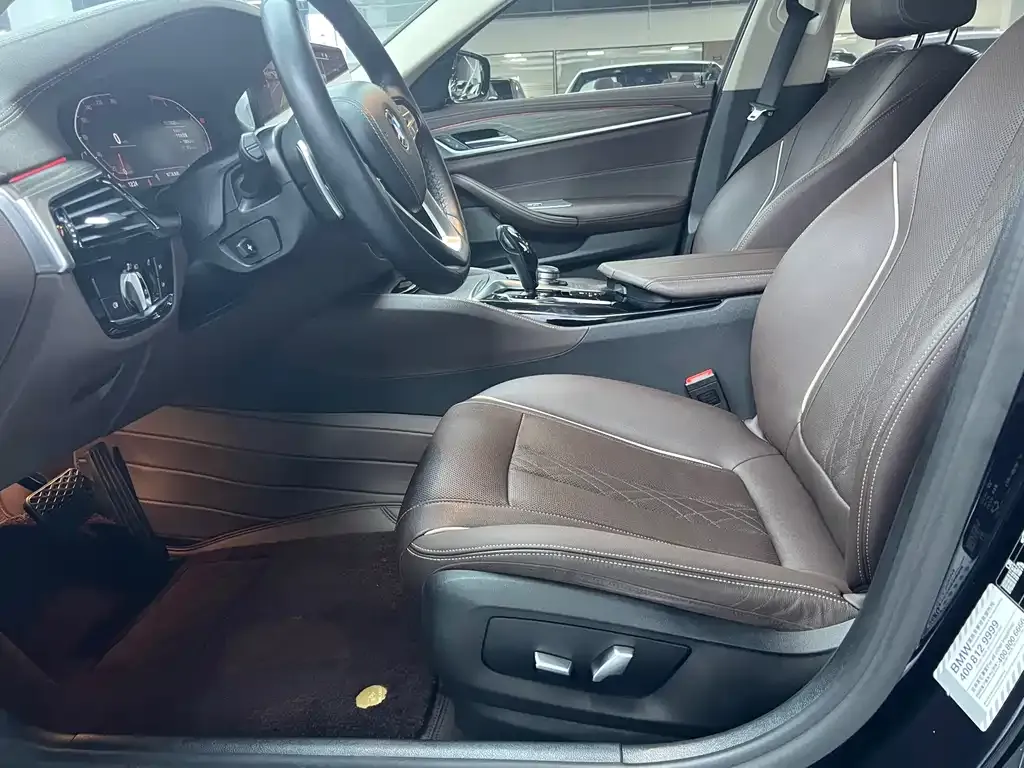 BMW 5 Series 2021 из CN, фото 9