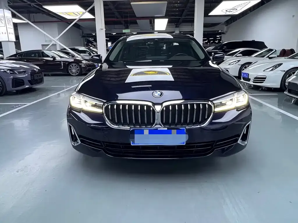 BMW 5 Series 2021 из CN, фото 4