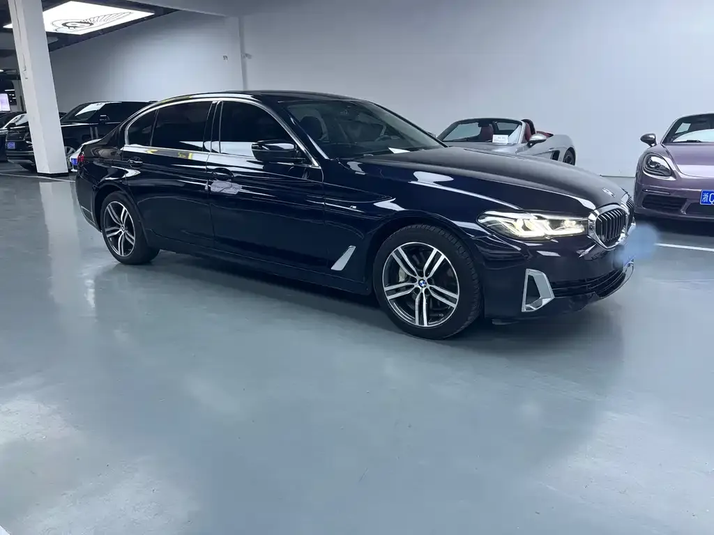 BMW 5 Series 2021 из CN, фото 3