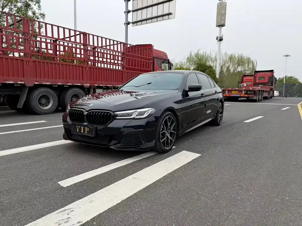 BMW 5 Series 2021 из CN, фото 5