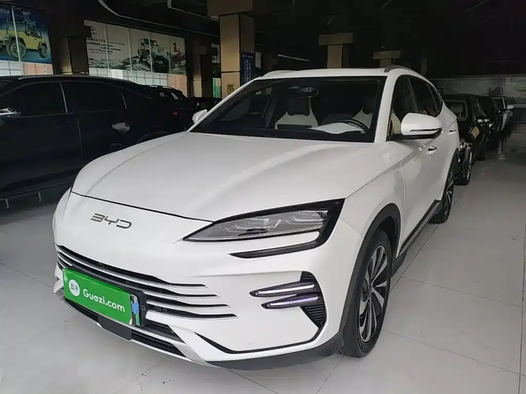 BYD PLUS New Energy — фото 3