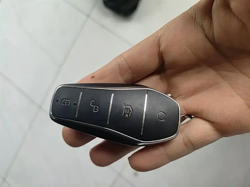 BYD PLUS New Energy — фото 4