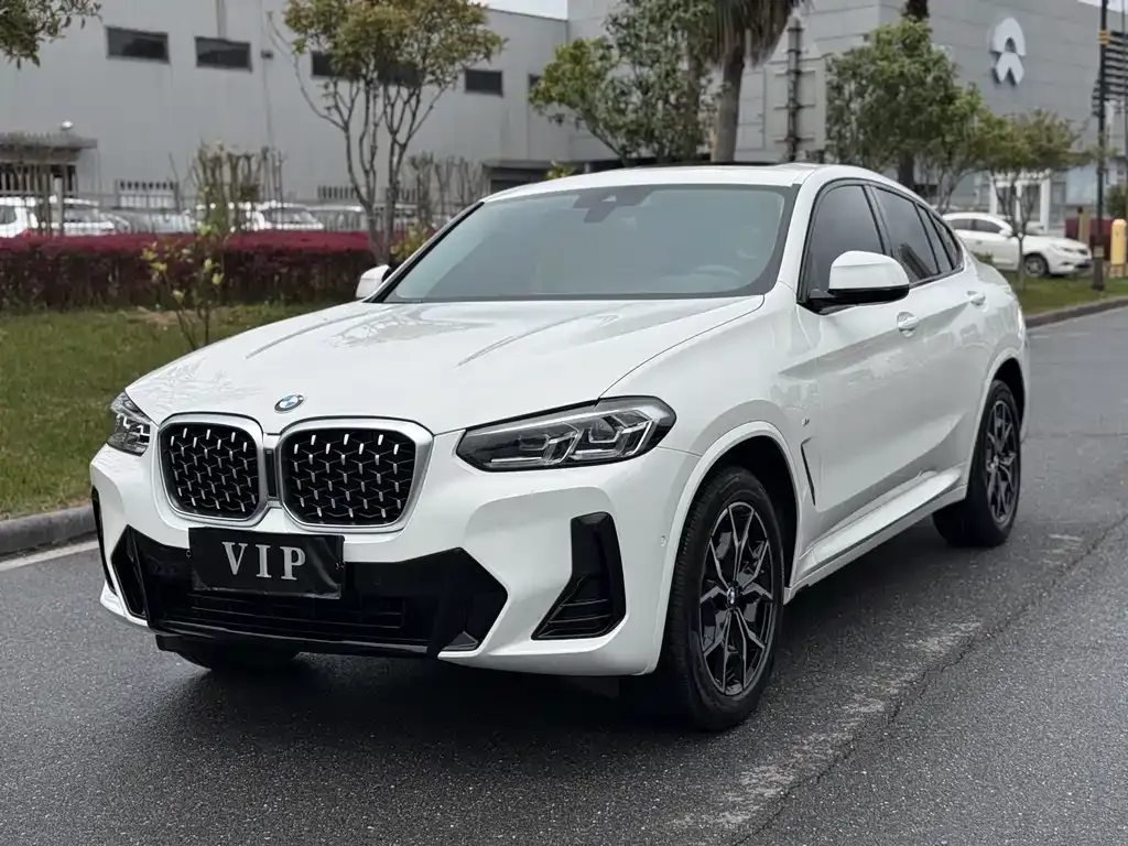BMW X4 — фото 1