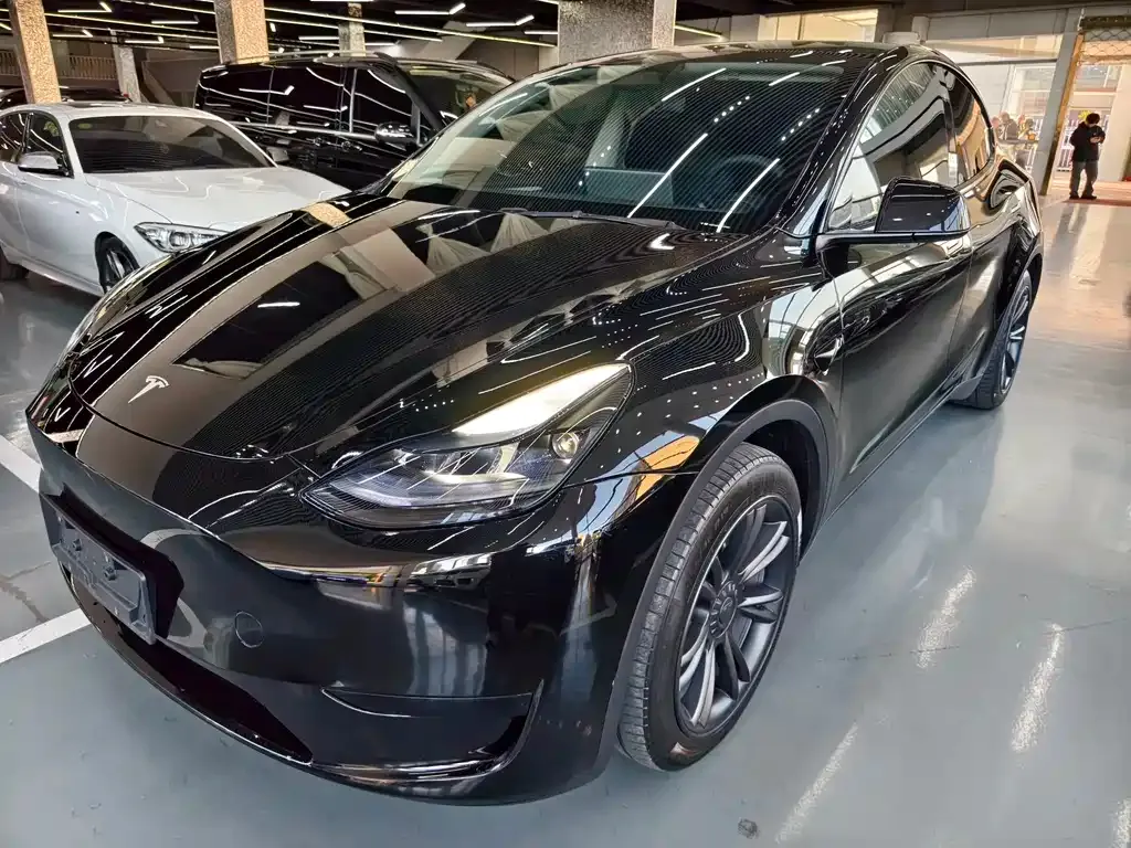 Tesla Model Y — фото 1