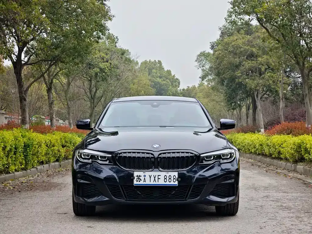 BMW 3 Series 2021 из CN, фото 8