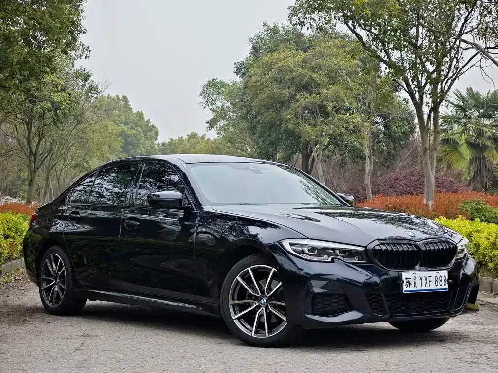 BMW 3 Series 2021 из CN, фото 6