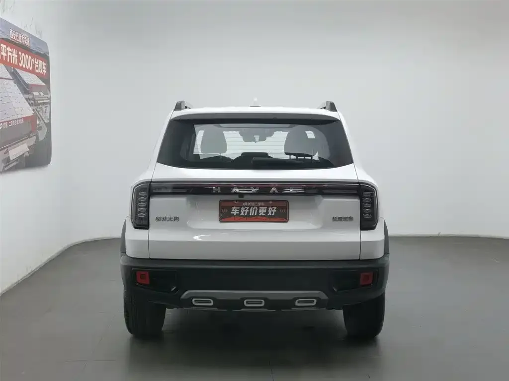 Haval Big Dog 2023 из CN, фото 3