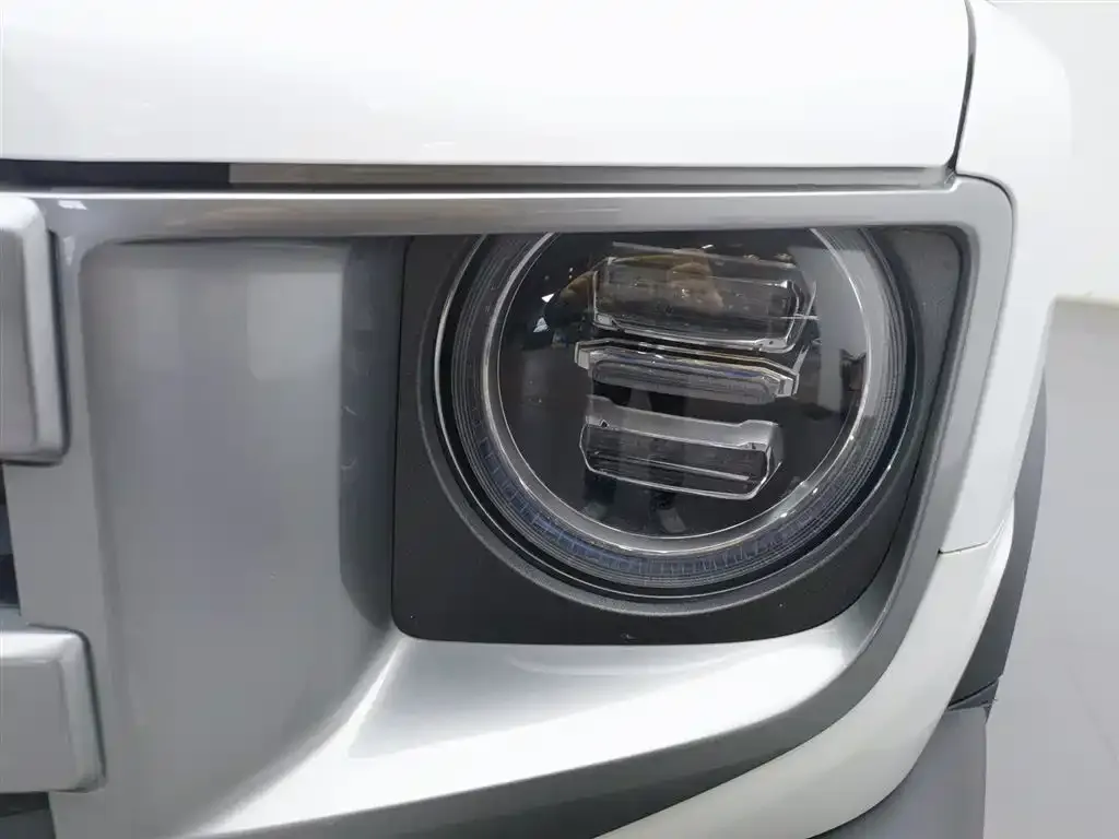 Haval Big Dog 2023 из CN, фото 4