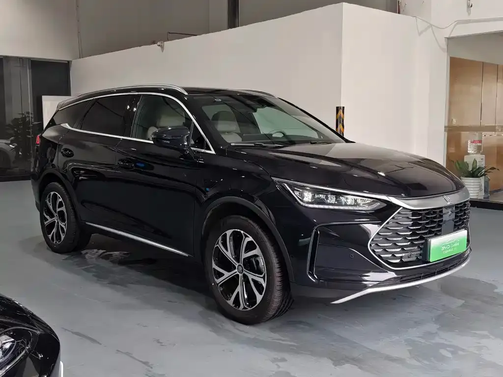 BYD Tang New Energy — фото 10