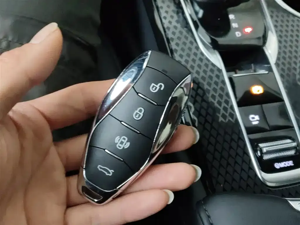 Hongqi HS3 PHEV 2025 из CN, фото 3