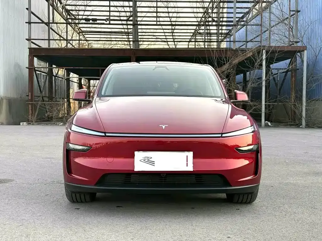 Tesla Model Y — фото 9