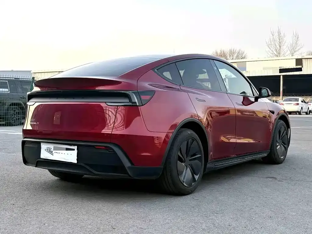 Tesla Model Y — фото 8