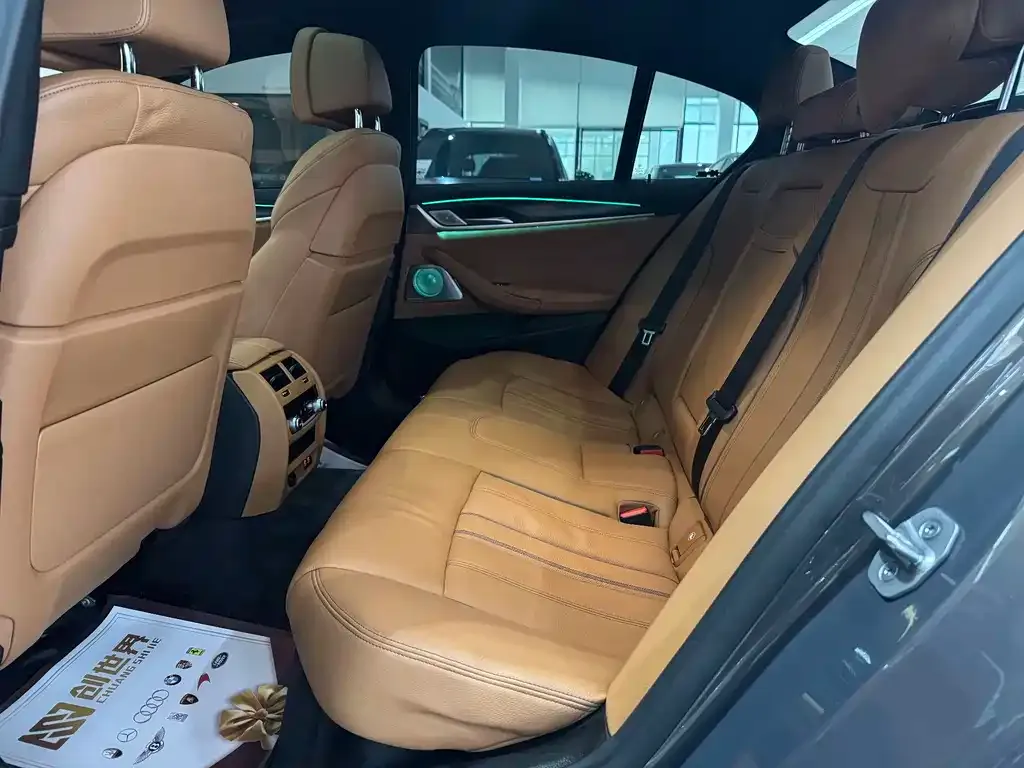 BMW 5 Series (Import) 2023 из CN, фото 4