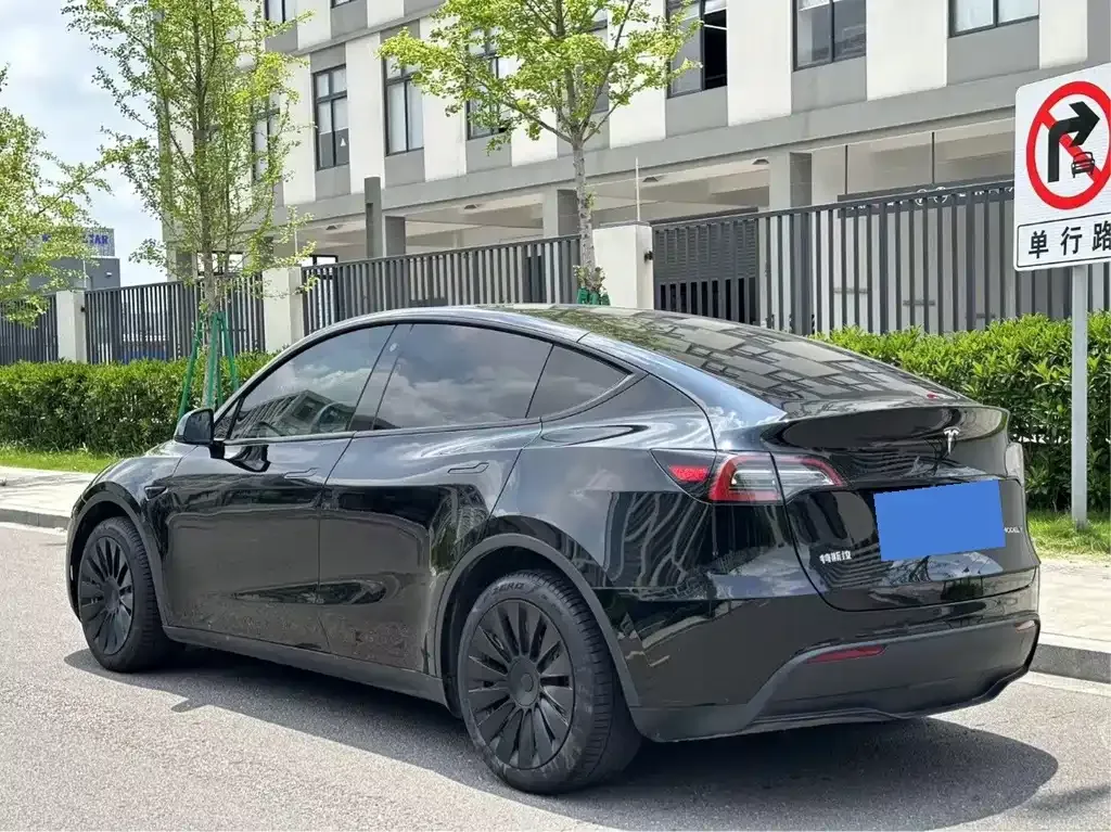 Tesla Model Y — фото 9