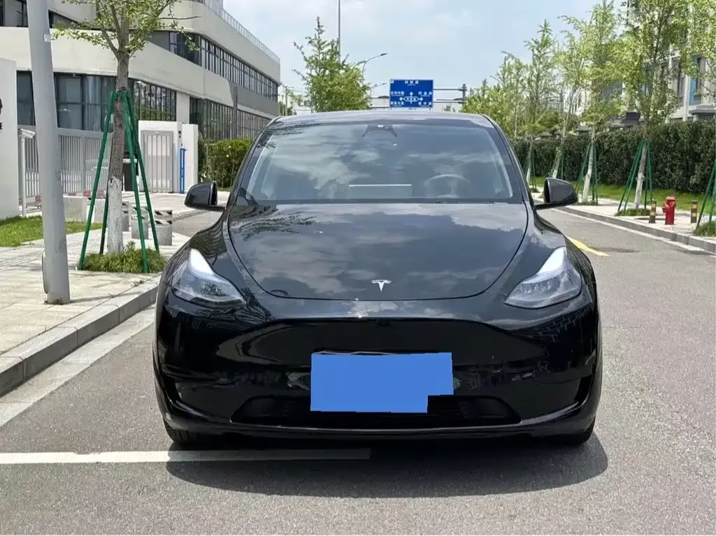 Tesla Model Y — фото 5