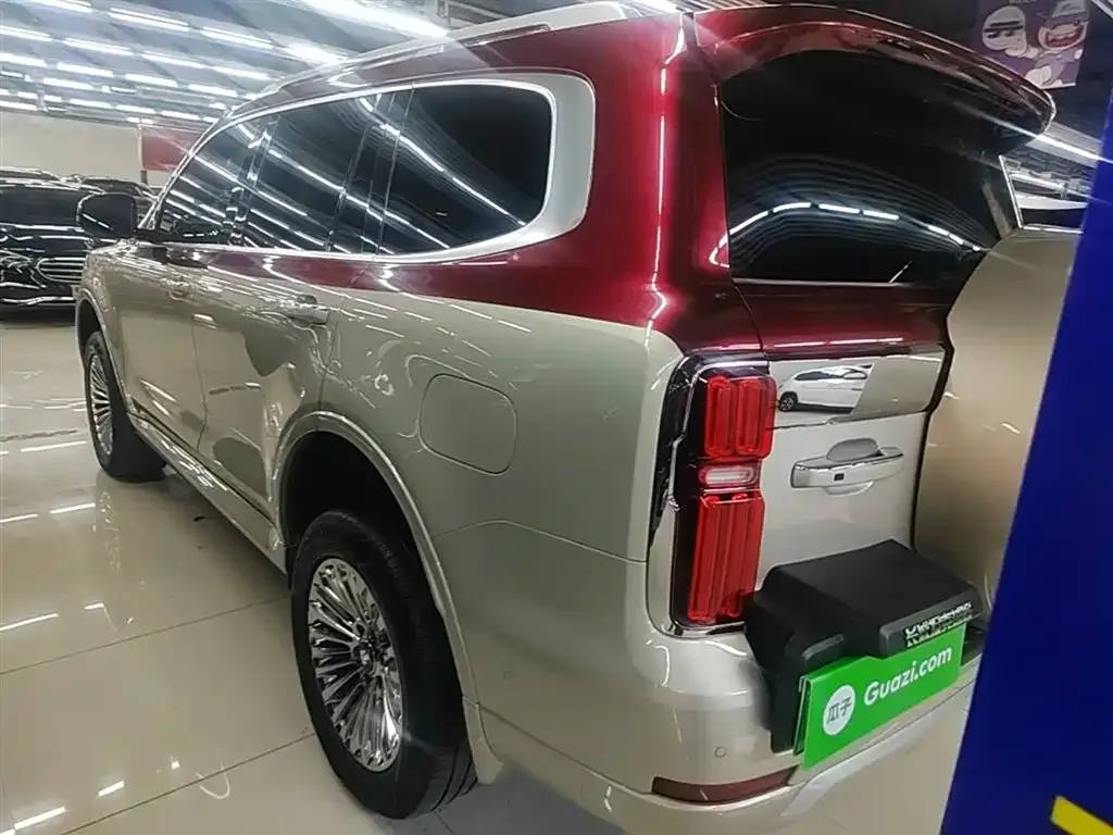 Tank 500 New Energy 2023 из CN, фото 8
