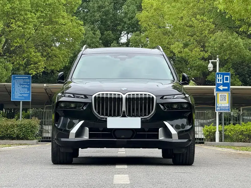 BMW X7 — фото 6