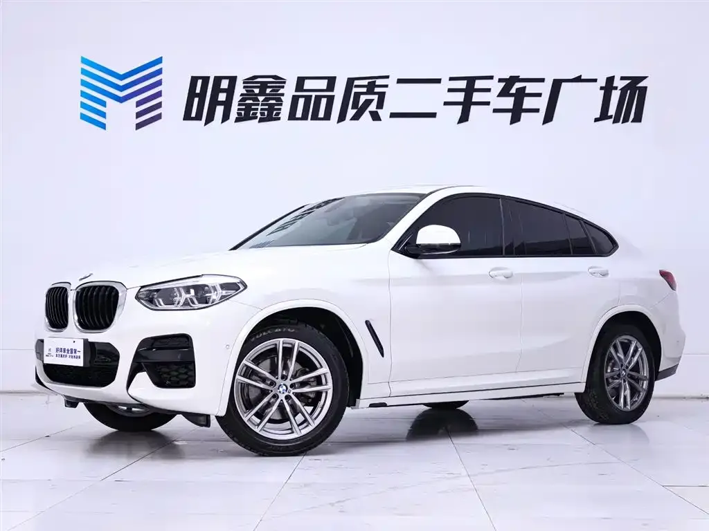 BMW X4 2021 из CN, фото 9