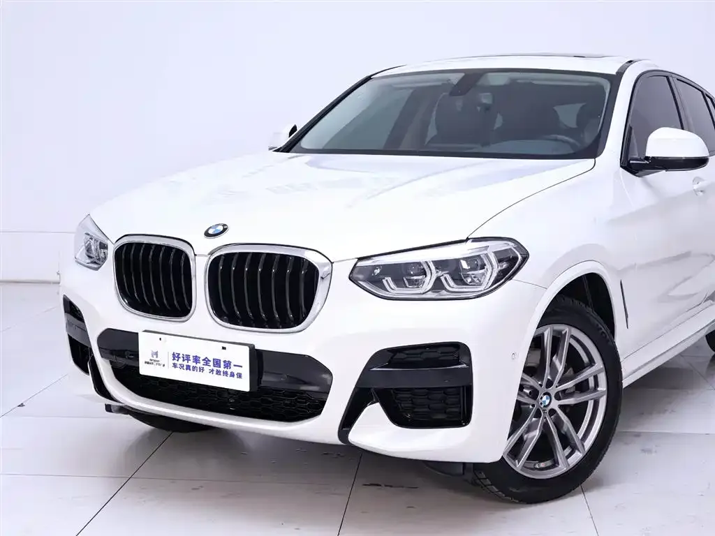 BMW X4 2021 из CN, фото 6