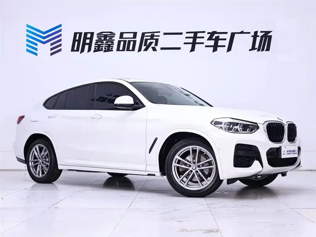 BMW X4 2021 из CN, фото 7