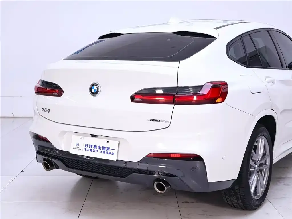 BMW X4 2021 из CN, фото 4