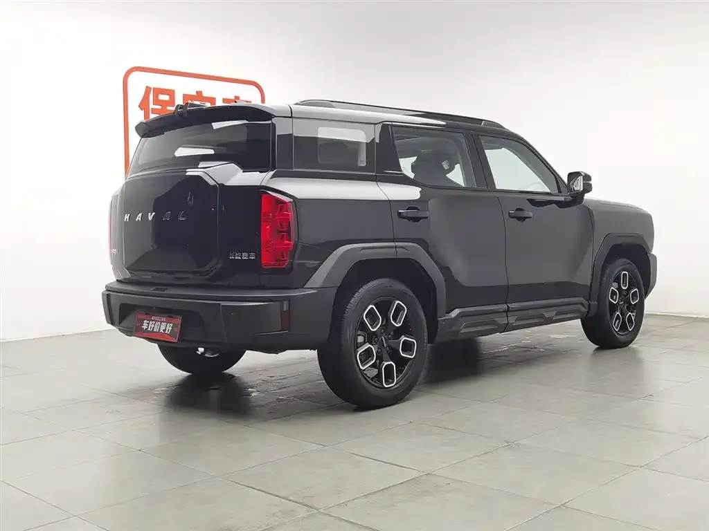 Haval Cool Dog 2023 из CN, фото 2
