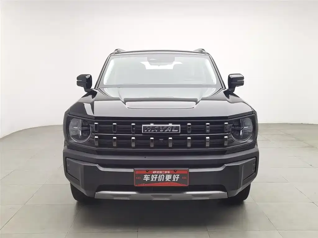 Haval Cool Dog 2023 из CN, фото 4