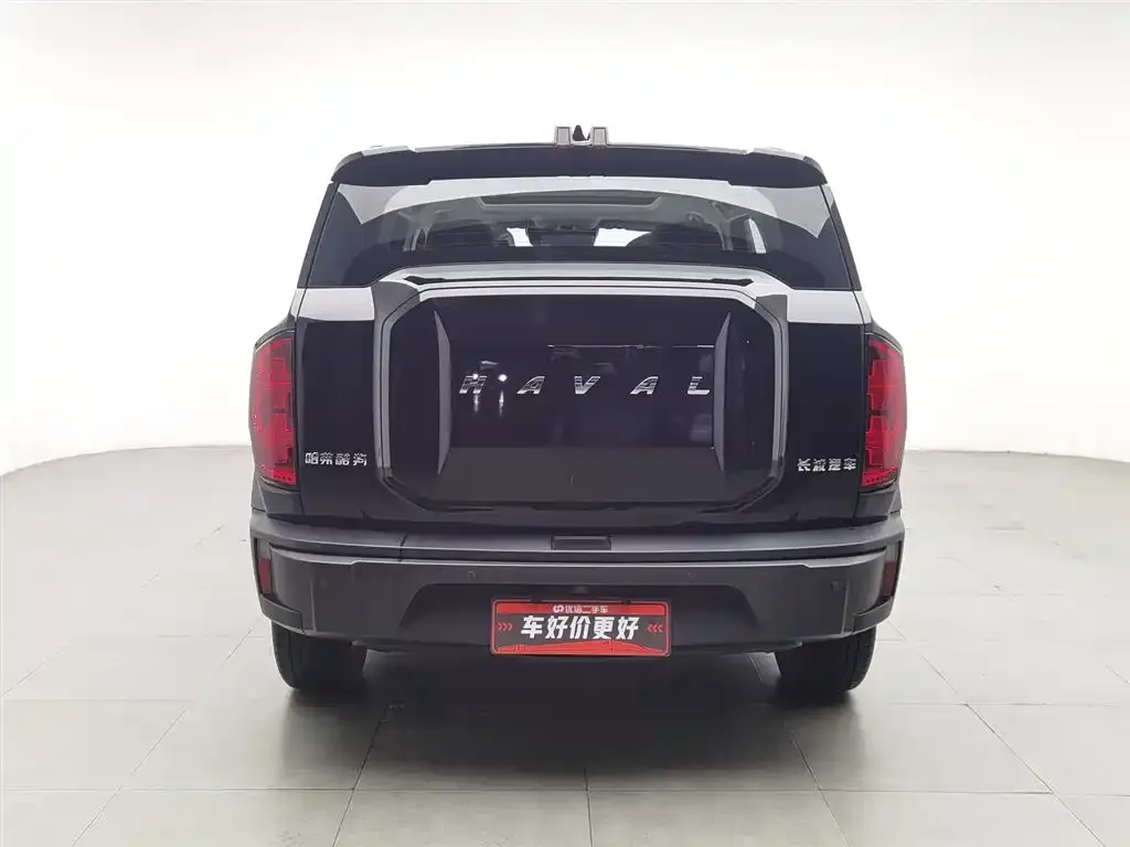 Haval Cool Dog 2023 из CN, фото 5