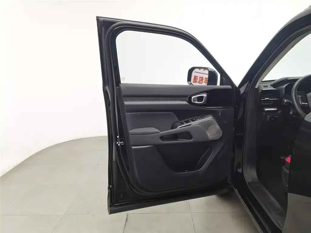 Haval Cool Dog 2023 из CN, фото 6