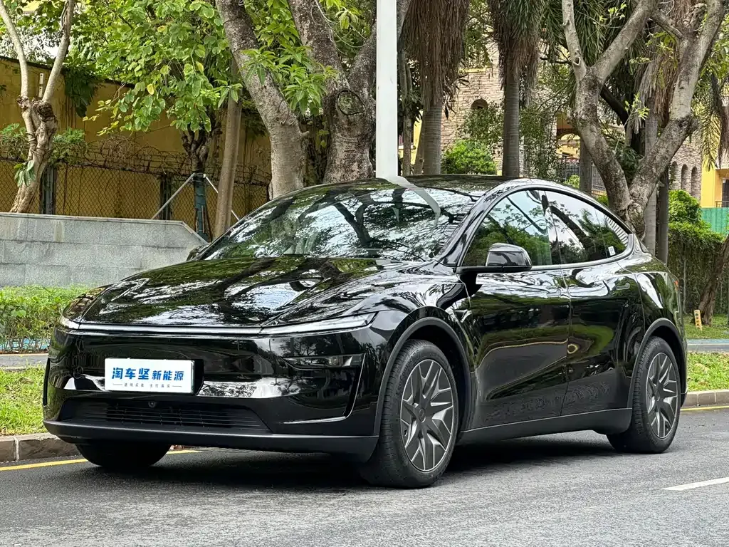 Tesla Model Y L — фото 1