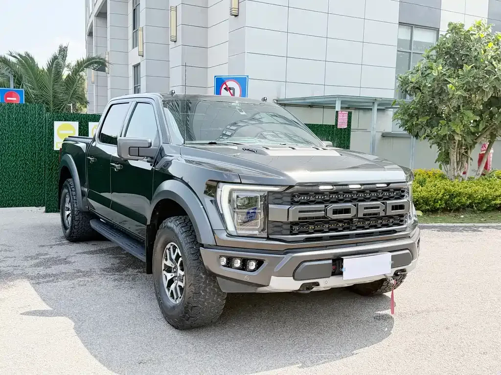 Ford F-150 Raptor 2023 из CN, фото 10