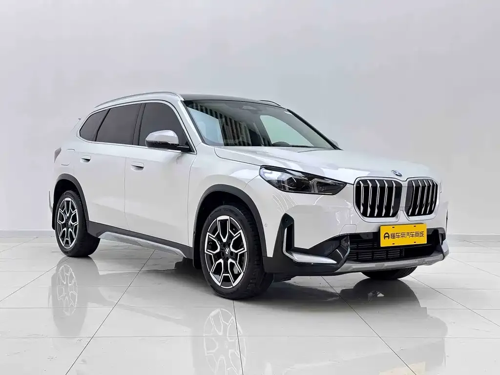 BMW X1 2024 из CN, фото 6