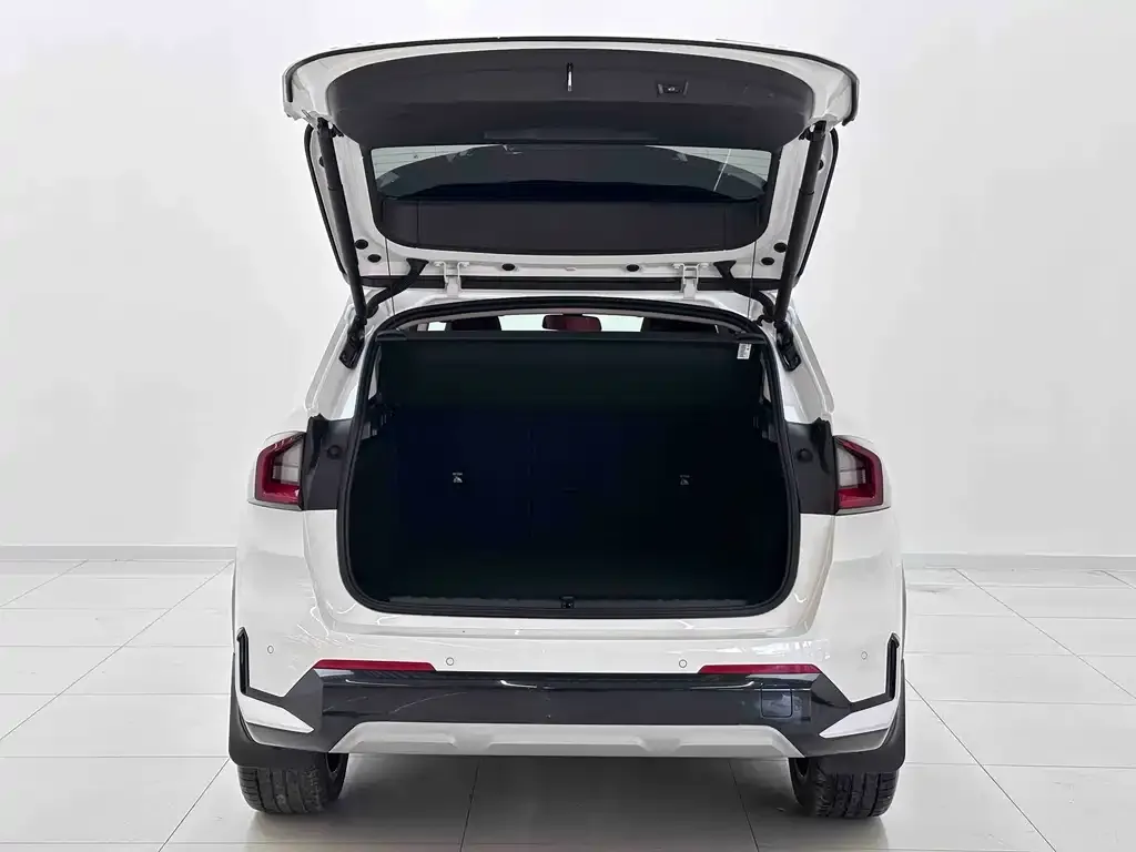 BMW X1 2024 из CN, фото 2