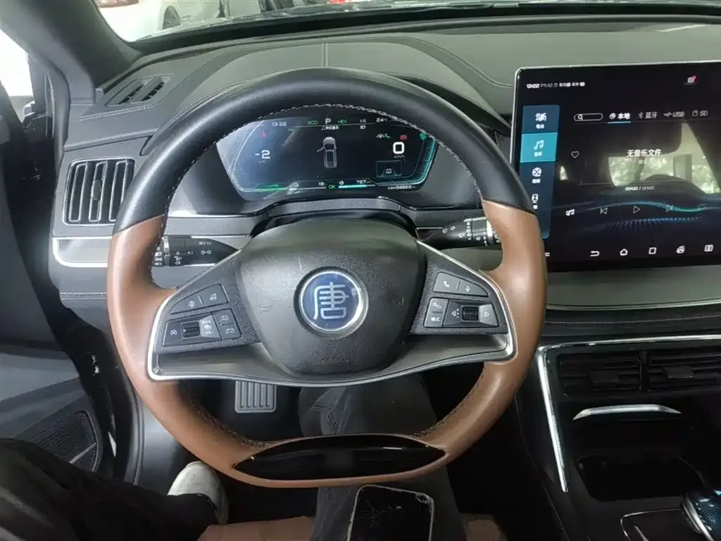 BYD Tang New Energy 2023 из CN, фото 9