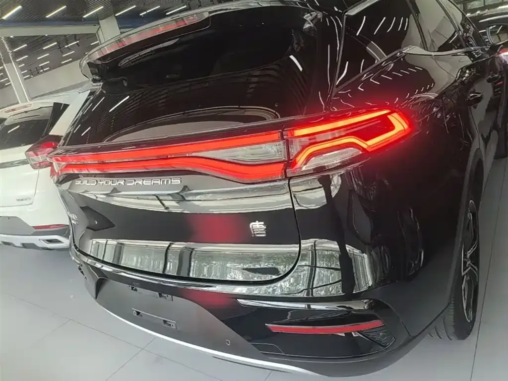 BYD Tang New Energy 2023 из CN, фото 8