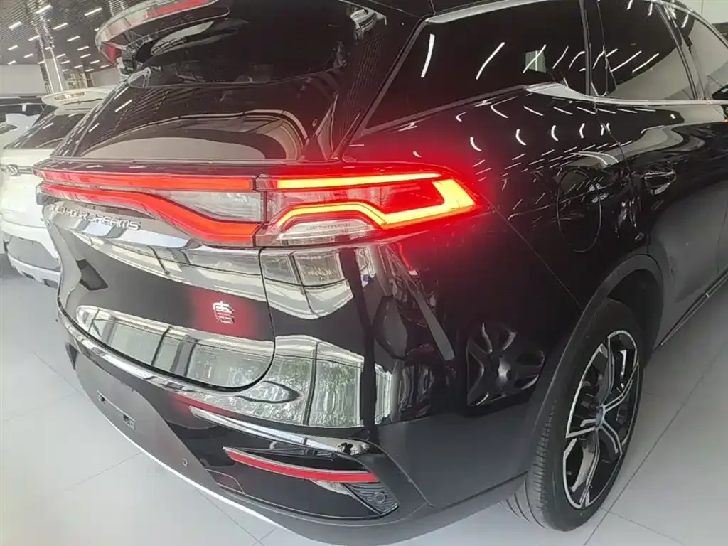 BYD Tang New Energy 2023 из CN, фото 7