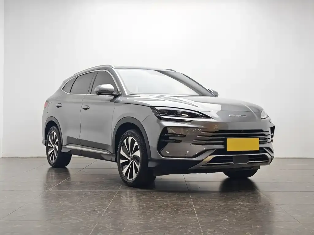 BYD PLUS New Energy — фото 3