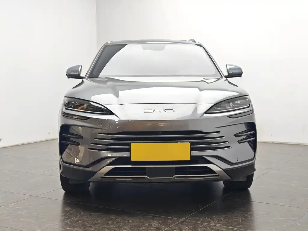 BYD PLUS New Energy — фото 2