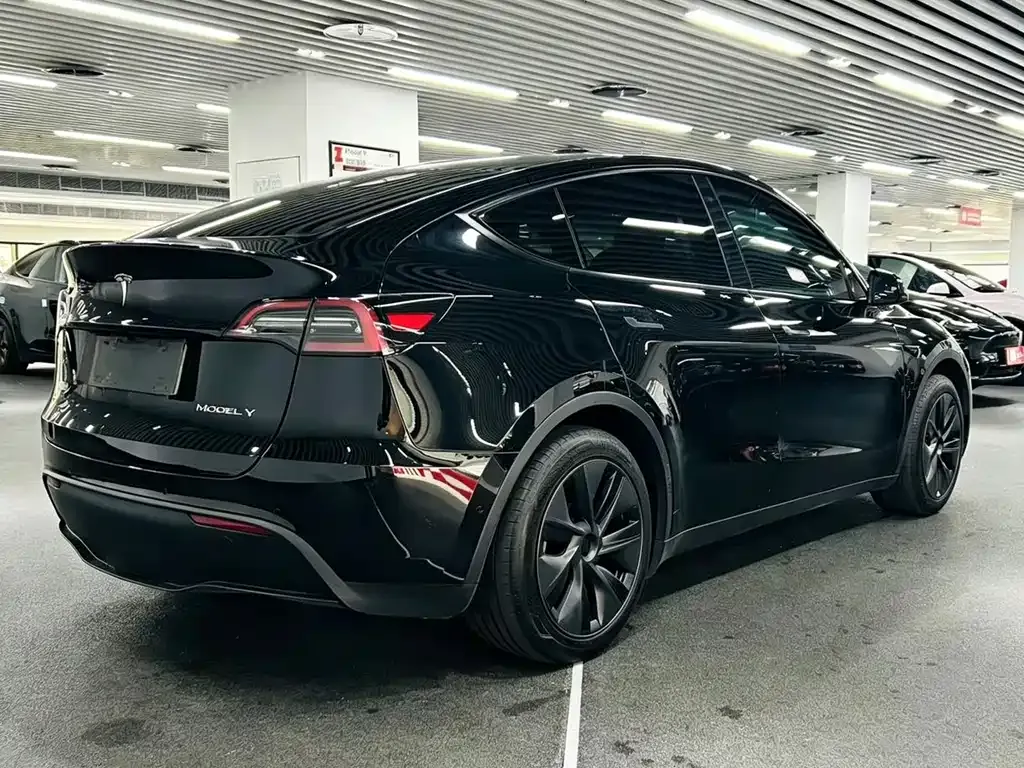 Tesla Model Y — фото 8