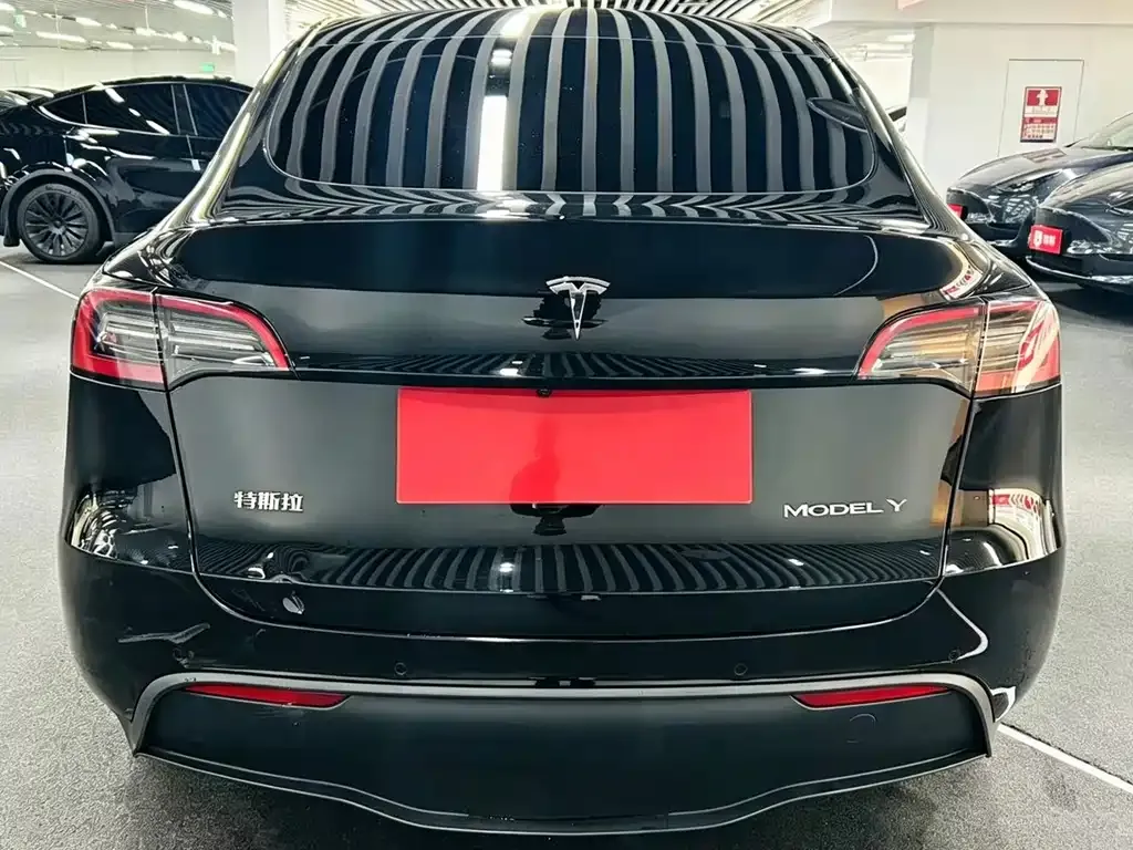 Tesla Model Y — фото 2