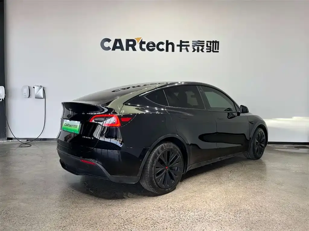 Tesla Model Y — фото 9