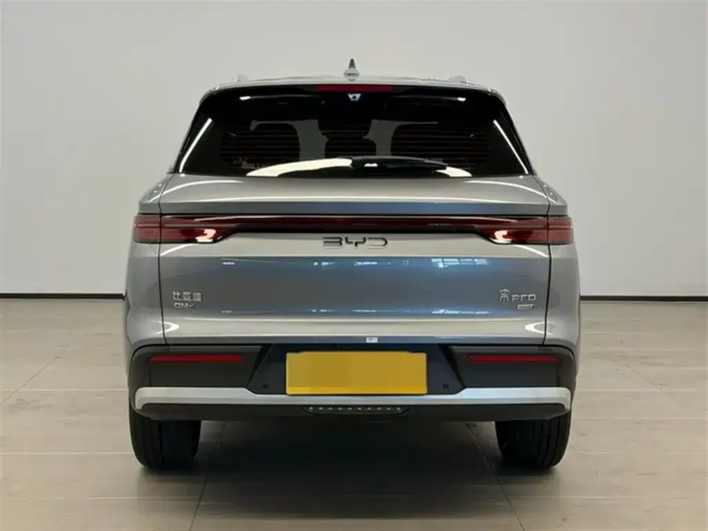 BYD Pro New Energy — фото 3