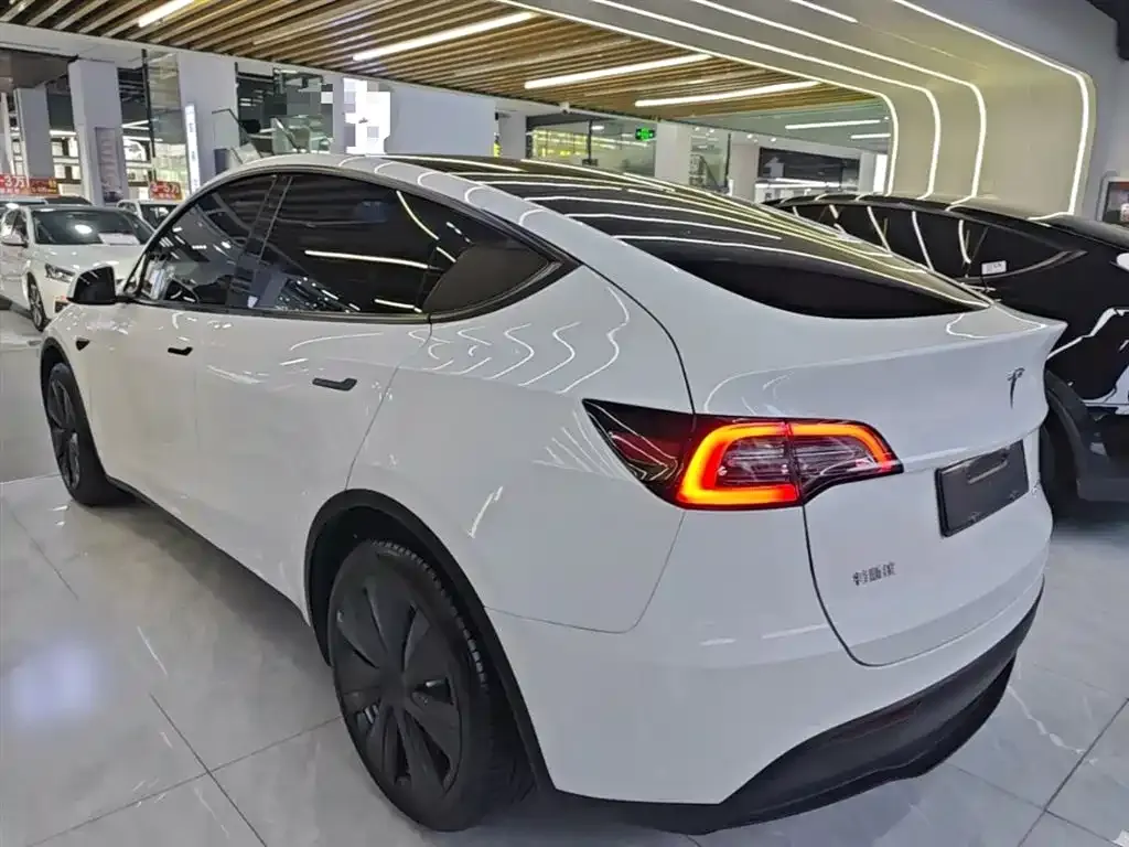 Tesla Model Y — фото 3