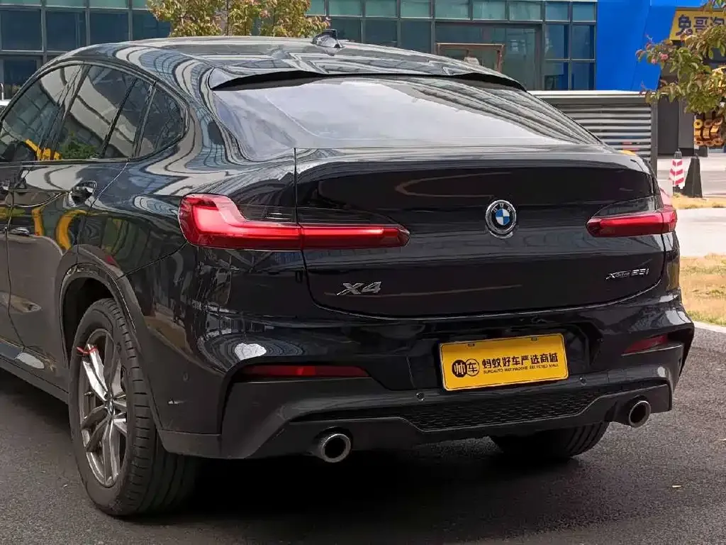 BMW X4 2021 из CN, фото 9