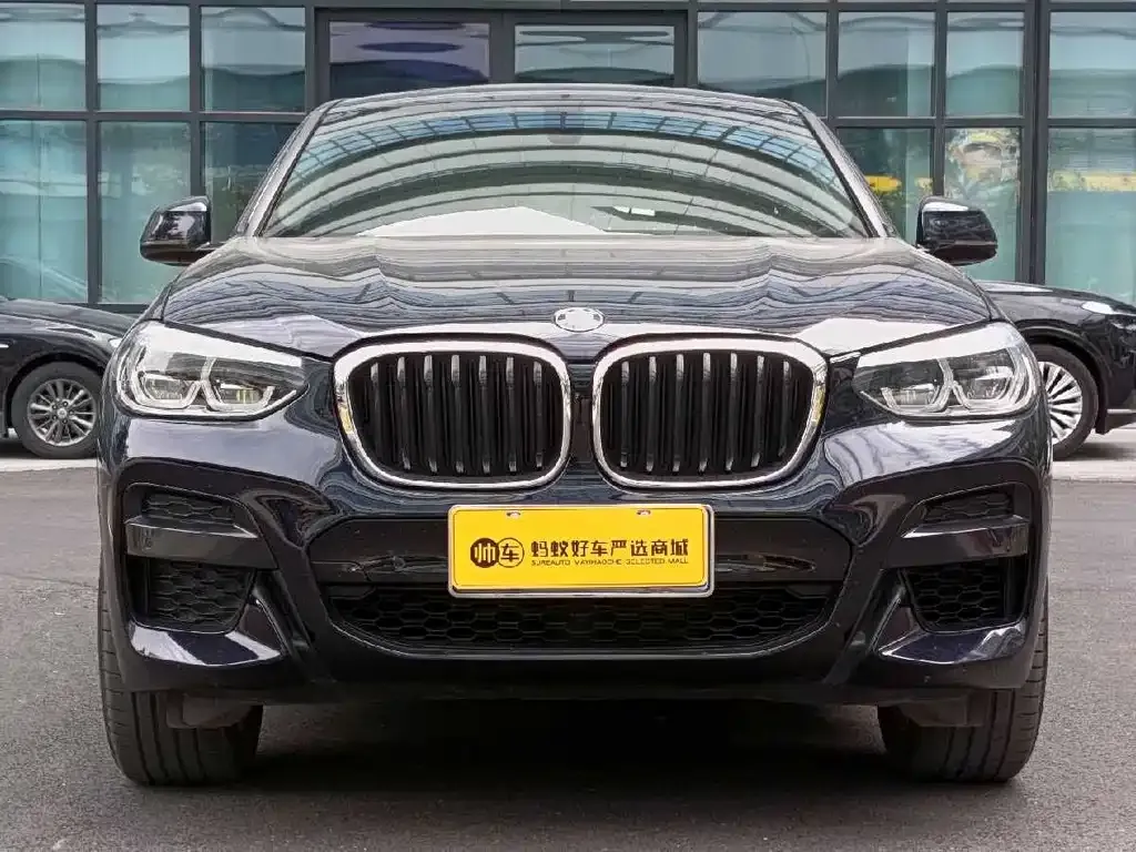 BMW X4 2021 из CN, фото 8