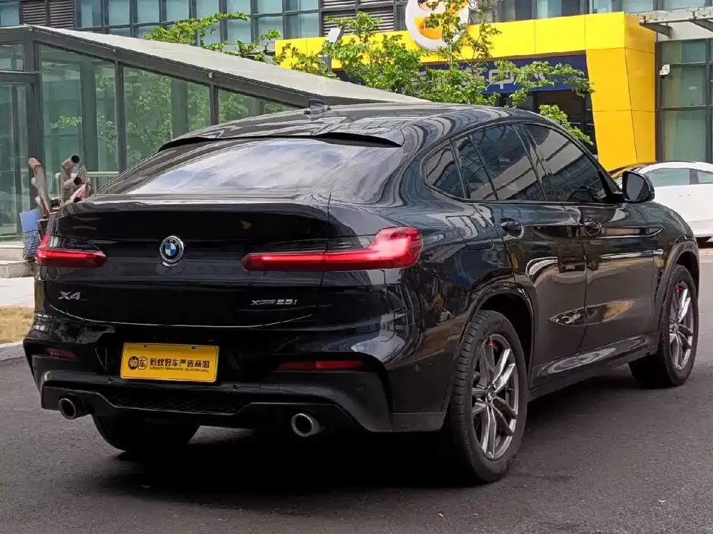 BMW X4 2021 из CN, фото 4