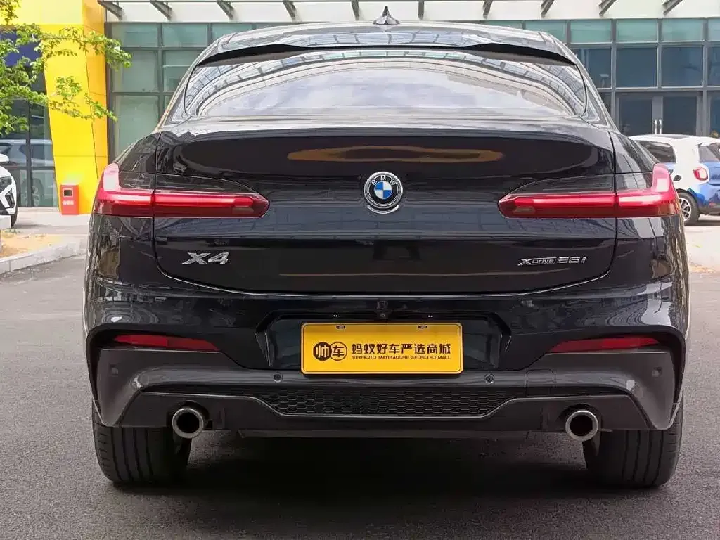 BMW X4 2021 из CN, фото 3